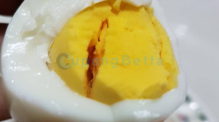 Kuning Telur 1