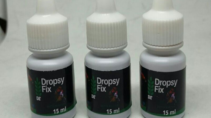 Dropsy Fix