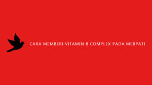 Cara Memberi Vitamin B Complex Pada Merpati